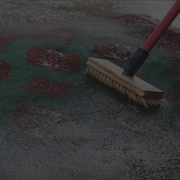 قالیشویی شاداب